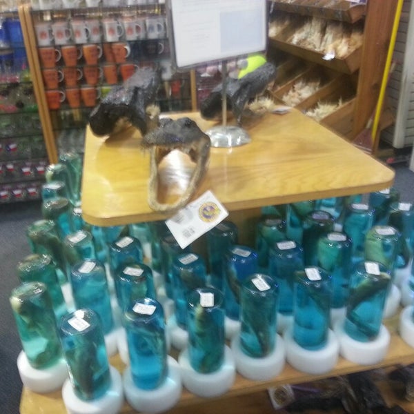 Wings Beachwear Galveston, TX