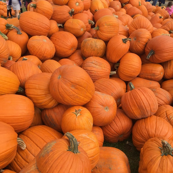 Leisure farms Sturgeon Falls, ON