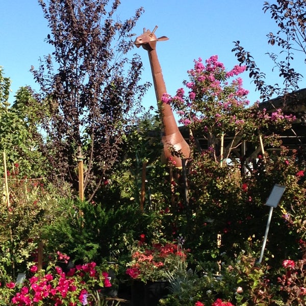 El Rancho Discount Nursery Garden Center