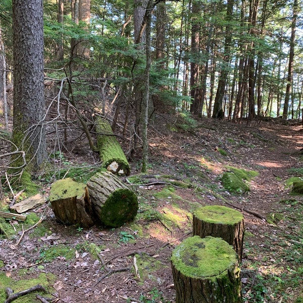 Newfound Lake Hebron, NH