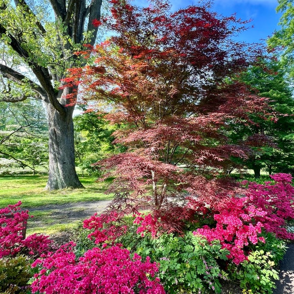 Das Foto wurde bei Morris Arboretum von Sergey R. am 4/30/2024 aufgenommen
