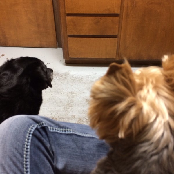 Boonville Animal Hospital 28 visitors