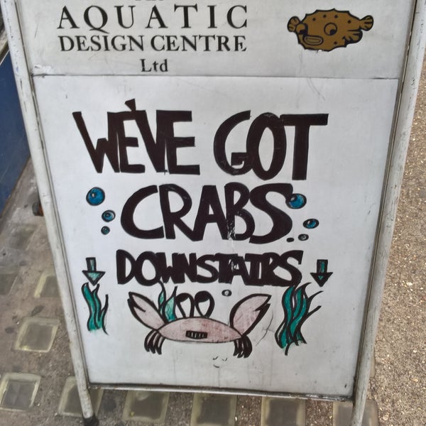 940 Aquarium Design Centre Glasgow Gratis