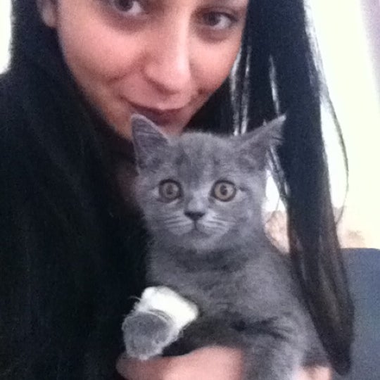 Панин стелла