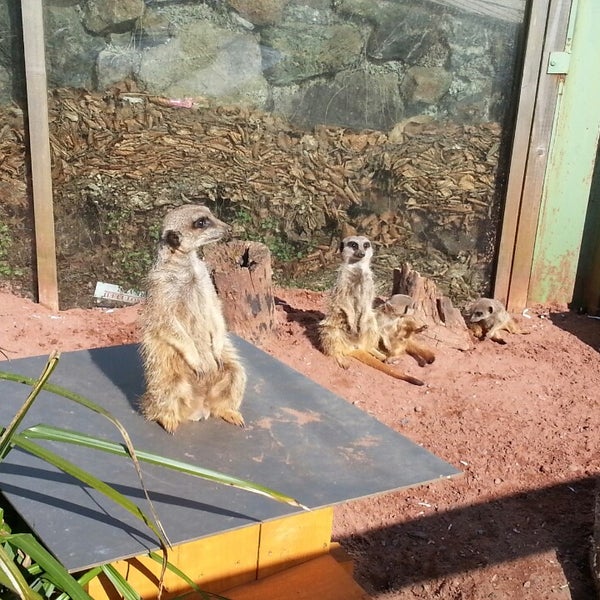 Photo taken at Dartmoor Zoological Park by Nick C. on 4/3/2013