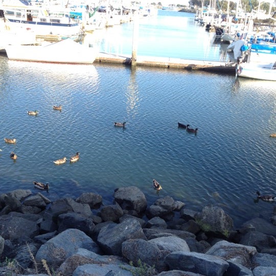 Photo taken at Galley At The Marina by Linda F. on 6/23/2012