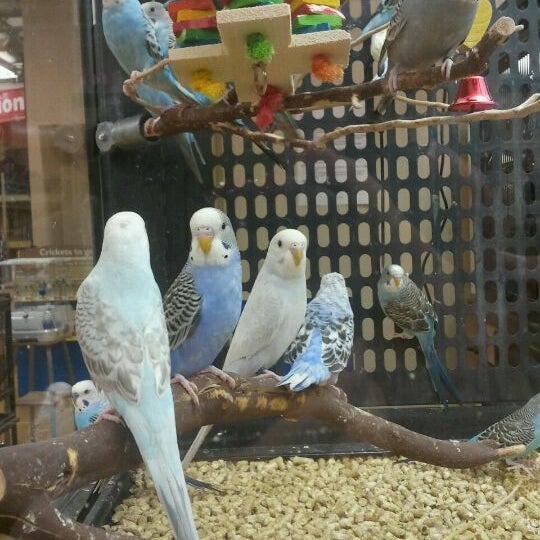 petsmart nicholson lane