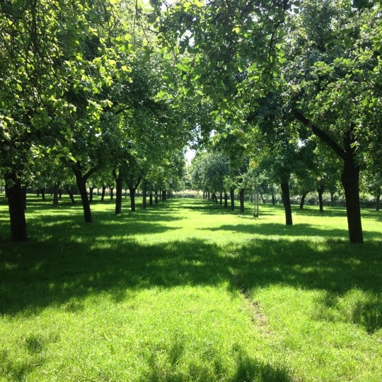 Sheppy's Cider Museum & Farm Shop Museum