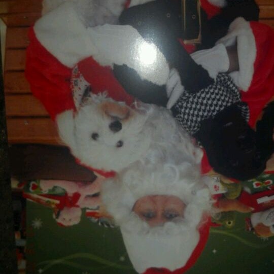 petsmart metrocenter