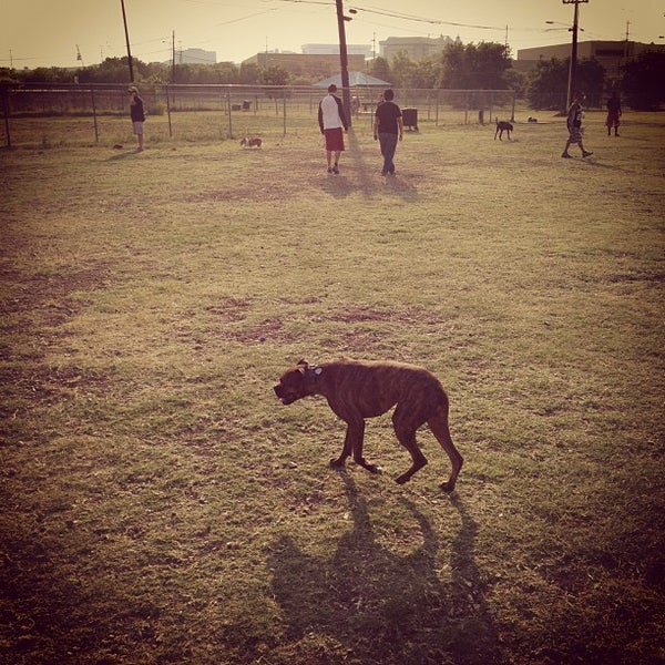 San Marcos Dog Park Dog Run in San Marcos