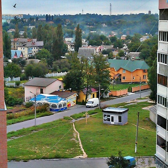 Васильків