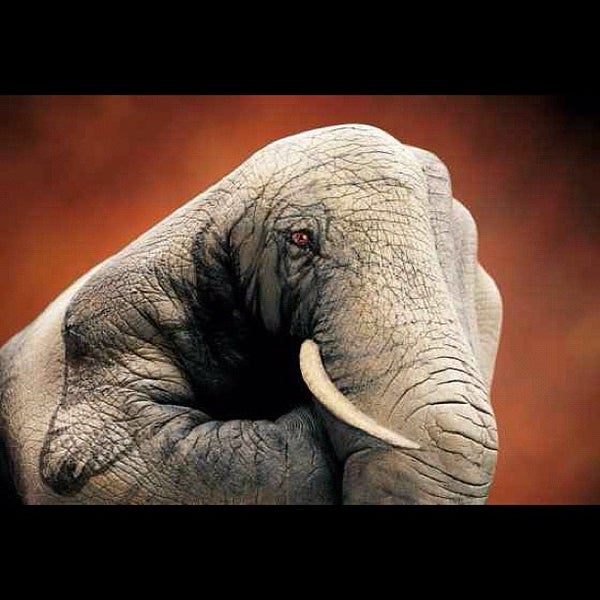 Lakes Estate 2 tips from 82 visitors