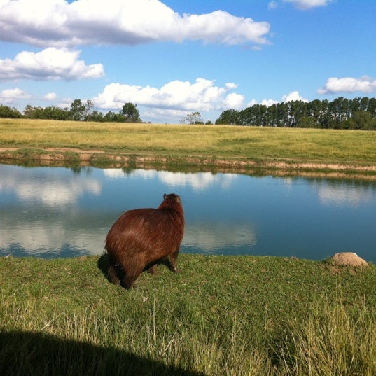 รูปภาพถ่ายที่ Pampas Safari โดย Keyth H. เมื่อ 5/6/2012