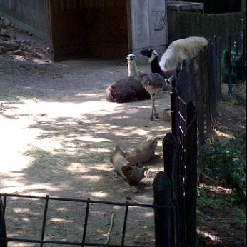 Foto scattata a Brandywine Zoo da Andy il 7/11/2011