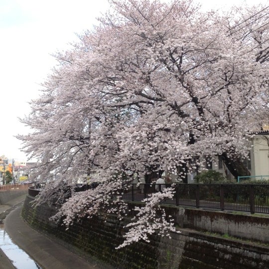 土筆橋 Bridge In 中野区