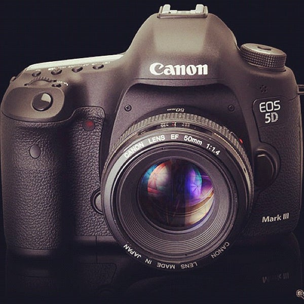 Камеры до 40000 рублей. Canon EOS 5d Mark 3. Canon EOS 5d Mark IV. Canon EOS 6d.