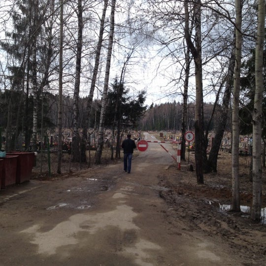 Кладбище в солнечногорске. Середняковское кладбище сходня. Старое кладбище солнечногорск. Солнечногорское кладбище. Солнечногорское кладбище новое.