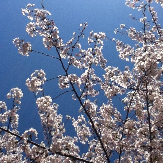 Fotos En 横須賀市立児童図書館 横須賀 40 Visitantes Fotos En 横須賀市立児童図書館 横須賀 40 Visitantes