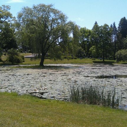Роща холостяков. Пруд кладбище. Пискаревское кладбище пруд. Лебеди на пискаревском кладбище. Пруд кладбище.