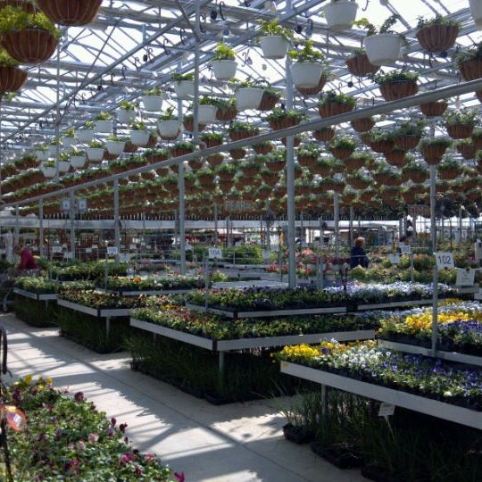 Цветы Эквадор Greenhouses