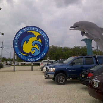 Photo taken at Dolphin Research Center by Ashley B. on 4/14/2012