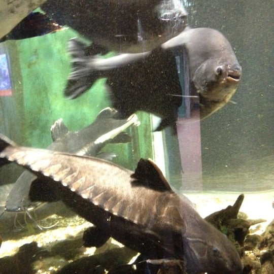 Photo taken at Oceanarium, The Bournemouth Aquarium by Kayano on 3/18/2012