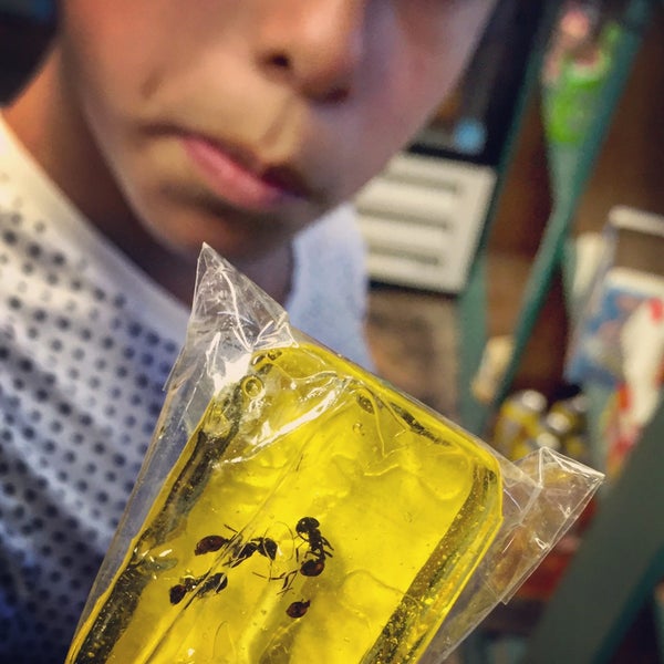 EdwardsFreeman Nut Co Candy Store