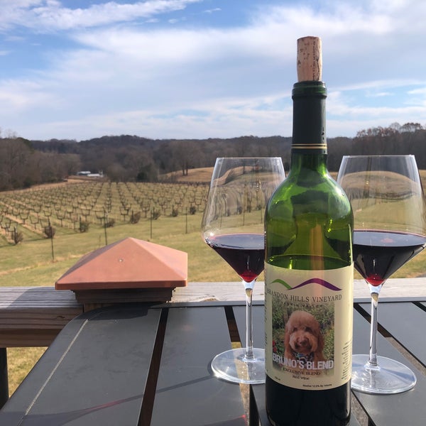 Brandon Hills Vineyard Yadkinville, NC