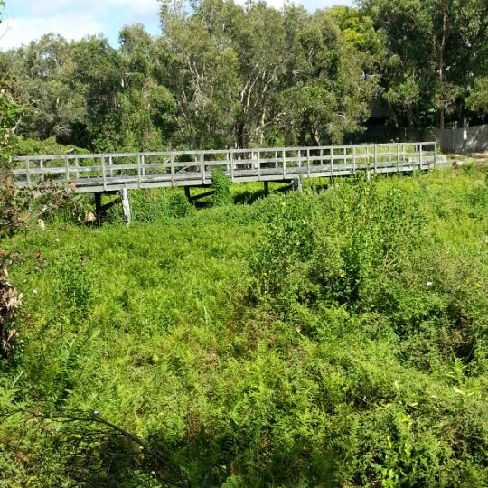 Photos At Little Bridge Over Burgess Creek Castaways Beach Qld