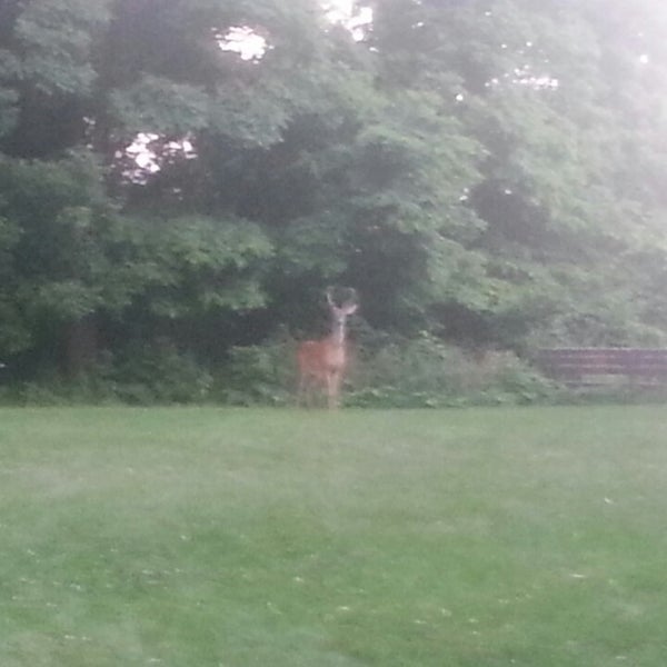 milwaukee back packs