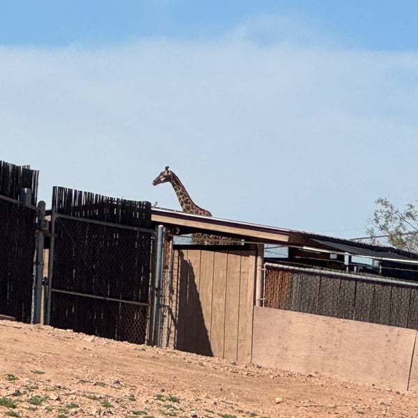 Снимок сделан в Phoenix Zoo пользователем Suzie L. 3/11/2024