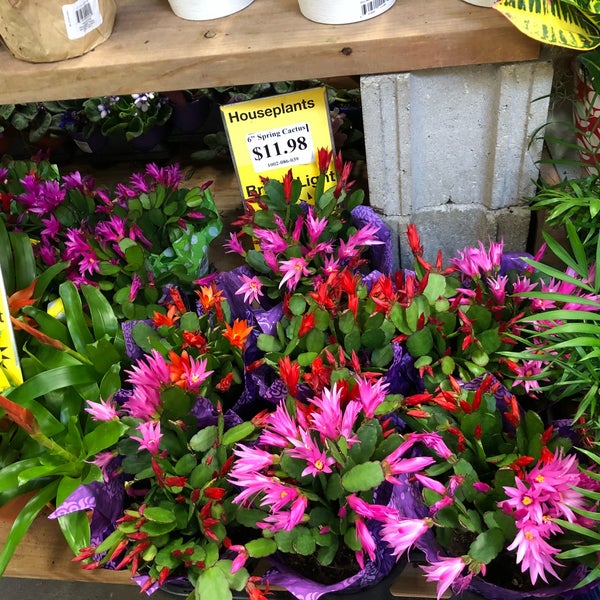 The Home Depot Hudson, WI