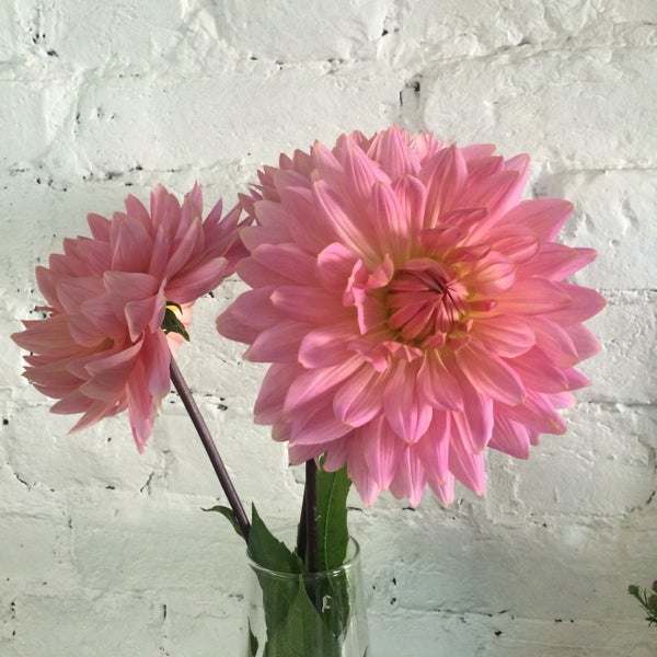 Foto tomada en Цветы de Fleurs студия флористики  por Светлана el 8/31/2016