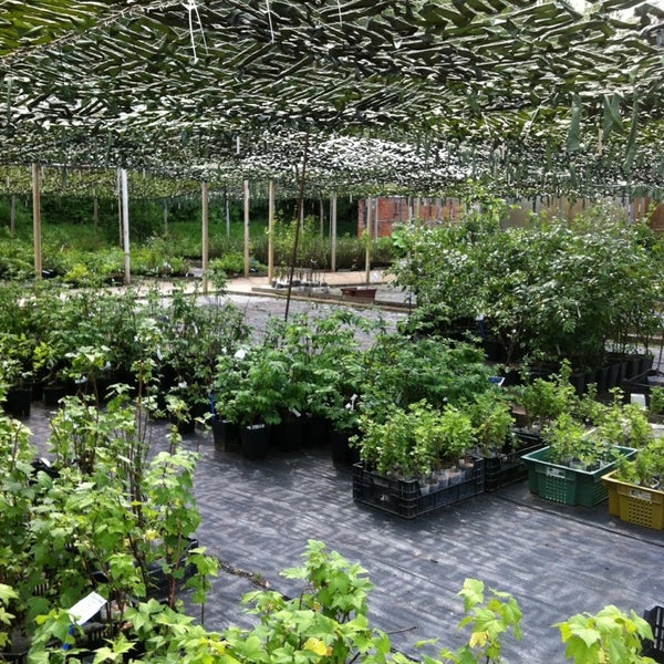 Ворота ивантеевский лесопитомник. Ивантеевский лесопитомник картинки. Ивантеевский лесопитомник, ивантеевка. Ивантеевский лесопитомник, ивантеевка. Ворота ивантеевский лесопитомник.