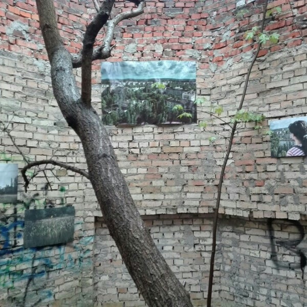 Кафе пингвин ижевск старое