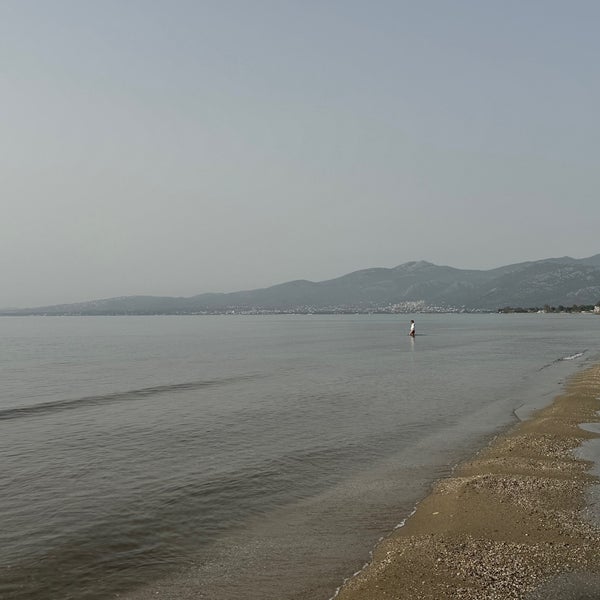 รูปภาพถ่ายที่ Moraitis Beach โดย Tomáš B. เมื่อ 4/1/2024