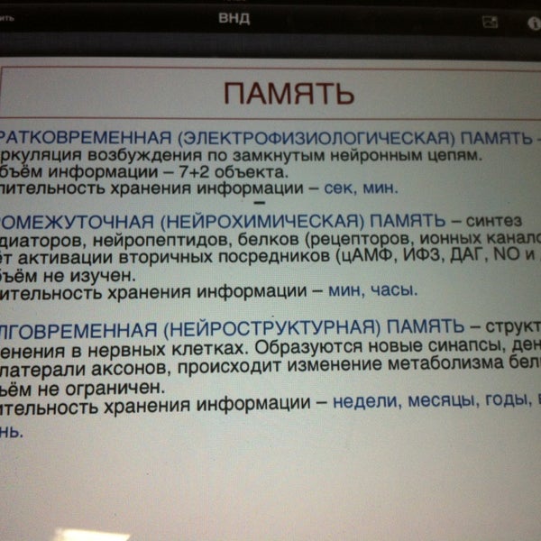 Физиология рниму. Физиология рниму