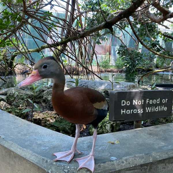 Снимок сделан в The Florida Aquarium пользователем Maggie C. 4/10/2022