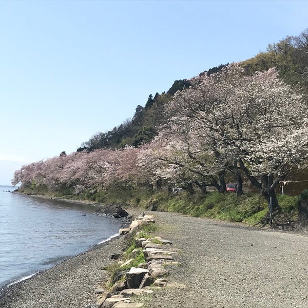 Photos At 二本松キャンプ水泳場 86 Visitors