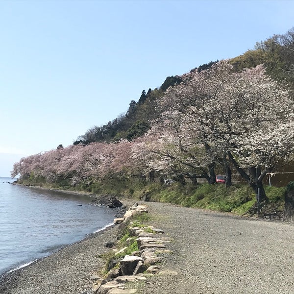 Photos At 二本松キャンプ水泳場 87 Visitors