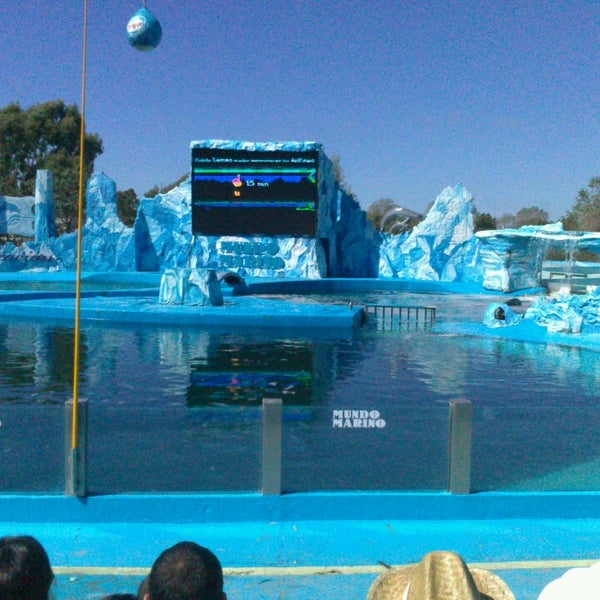 Mundo Marino Aquarium in San Clemente del Tuyú
