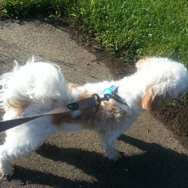 Groomingdales Pet Spa Pet Supplies Store