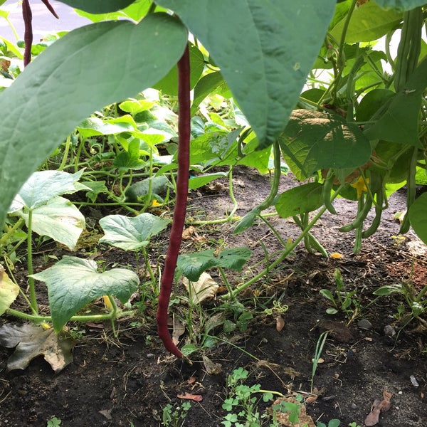 Folwell Park Victory 1615 Dowling Ave N