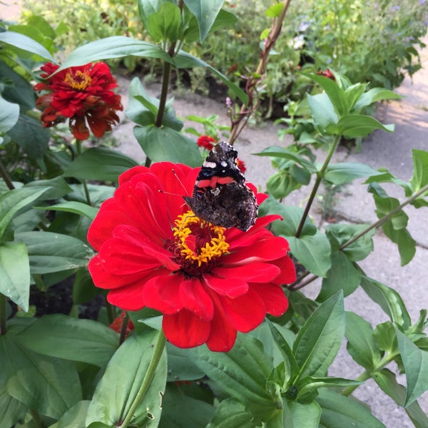 Folwell Park Victory 1615 Dowling Ave N