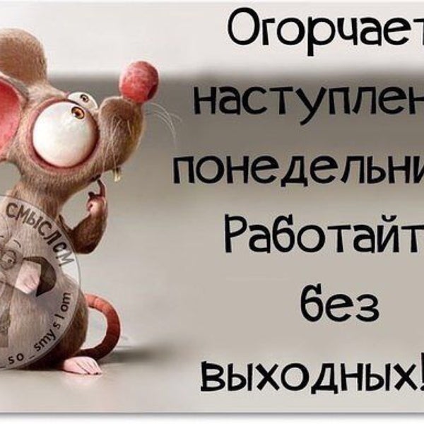 Высказывания картинки как день начнешь так его и проведешь, путешествие смешные объемные