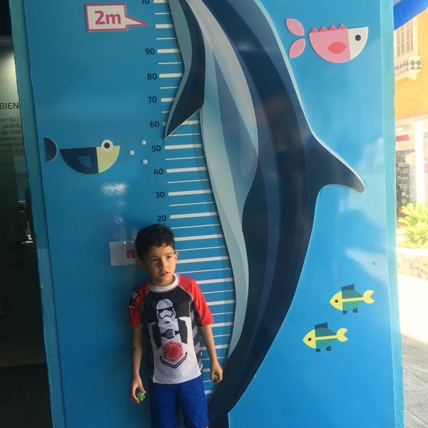 11/4/2017에 Alexza G.님이 Aquarium Cancun에서 찍은 사진