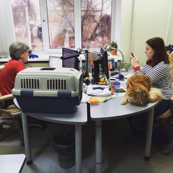 Photo taken at Ecwid HQ by Marina K. on 10/30/2015