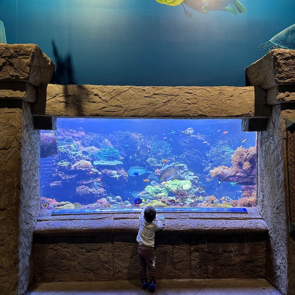 Foto scattata a Long Island Aquarium &amp; Exhibition Center (Atlantis Marine World) da John S. il 2/19/2024