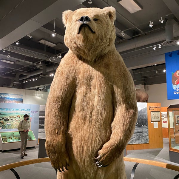 7/19/2021 tarihinde John S.ziyaretçi tarafından University of Alaska Museum of the North'de çekilen fotoğraf