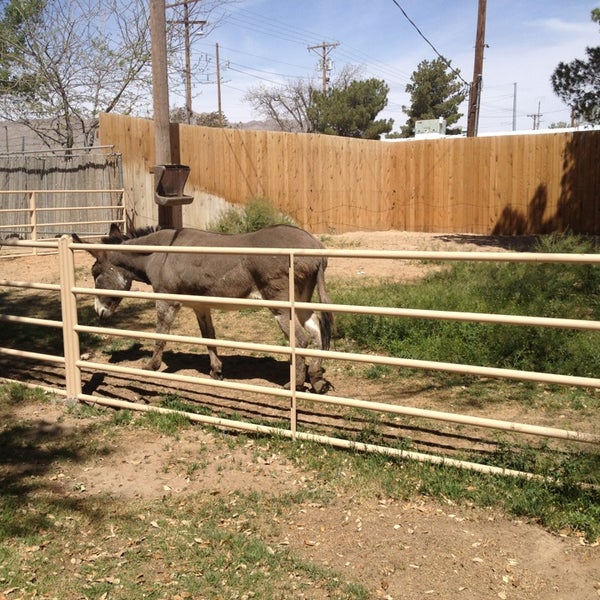 Photo prise au El Paso Zoo par Marc P. le3/30/2013